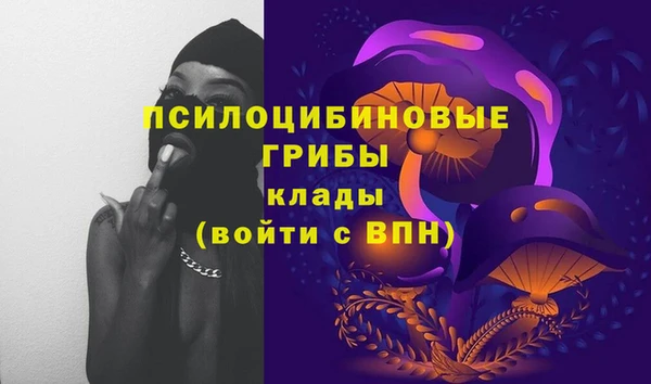 хмурый Алексеевка