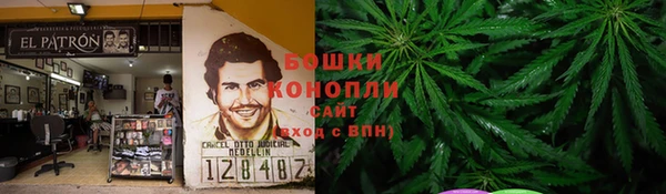 сатива Алексин