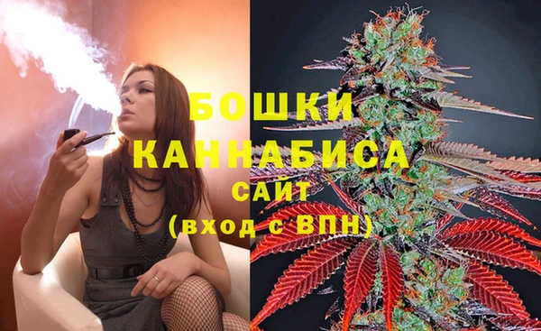СК Алзамай