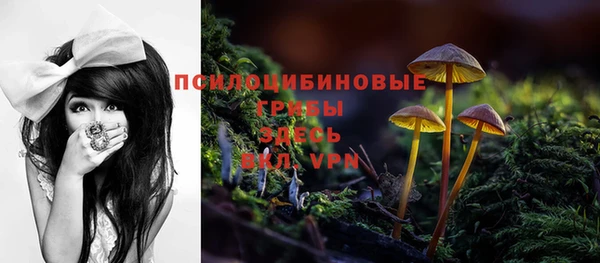кокаин колумбия Новозыбков